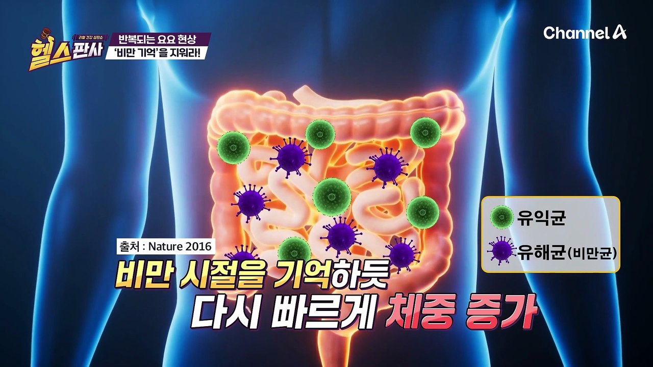 요요 없는 체중 감량은 BNR17 유산균과 함께! 장도 튼튼! 안 빠지던 뱃살도 사라...