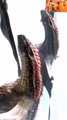 Game of Thrones – Winter Is Coming | Epic Scene