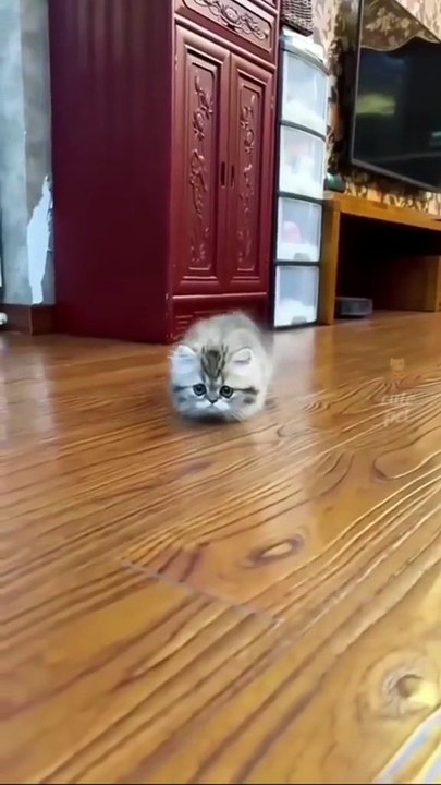 Petit moment de détente