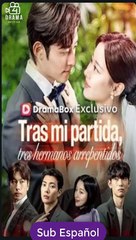 Sub EspaÑOl Tras Mi Partida, Tres Hermanos Arrepentidos Serie Completa