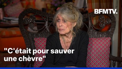 Brigitte Bardot racontait comment elle avait décidé d'arrêter le cinéma