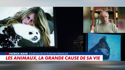 Patrick Mahé : «Elle a fait don de la Madrague à la Fondation Bardot»