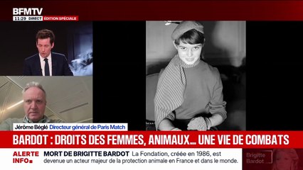 Wendy Bouchard témoigne sur les derniers jours de Brigitte Bardot, ce dimanche 28 décembre 2025 sur "BFMTV".