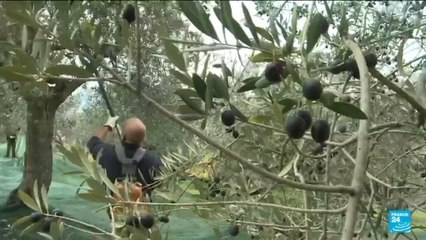 La cuisine italienne inscrite à l'Unesco