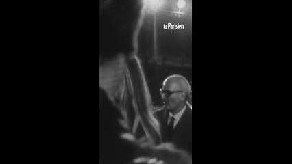 Brigitte Bardot : la bise avec le roi Pelé