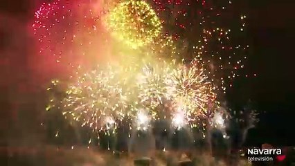 El ruido de Nochevieja estresa a miles de mascotas