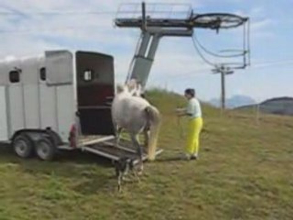 Lolo73 et Lemon - Monter dans le van en douceur !