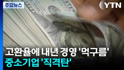 고환율에 내년 경영 '먹구름'...중소기업 '직격탄' / YTN