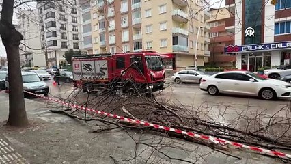 Gebze’de kuvvetli rüzgar nedeniyle kopan ağaç dalları iki araca zarar verdi