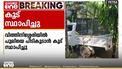 പാലക്കാട് വിത്തിനിശേരിയിൽ പുലിയെ പിടികൂടാനായി കൂട് സ്ഥാപിച്ചു
