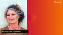 La dernière apparition de Brigitte Bardot date d'il y a 7 mois, l'actrice se montrait après des années à se cacher
