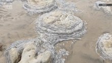 Family Discovers Fossilized Dinosaur Footprints on a UK Beach