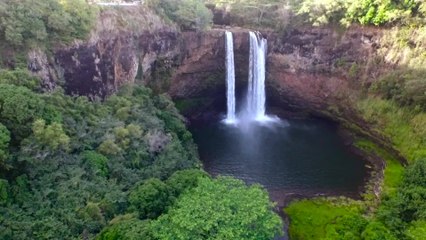 Honeycreepers Are Some of the Coolest Birds Around — Here’s Why Conservationists Are Racing to Save Them
