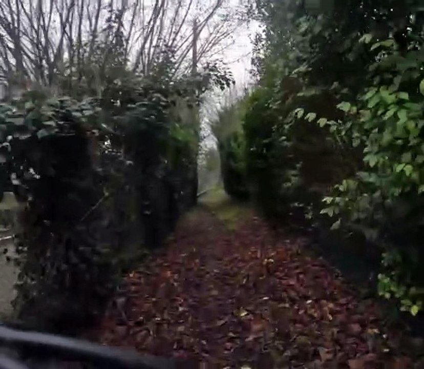 Vidéo vtt : Fraîche sortie VTT à 6 courageux