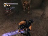 Ninja Gaiden online multiplayer - xbox