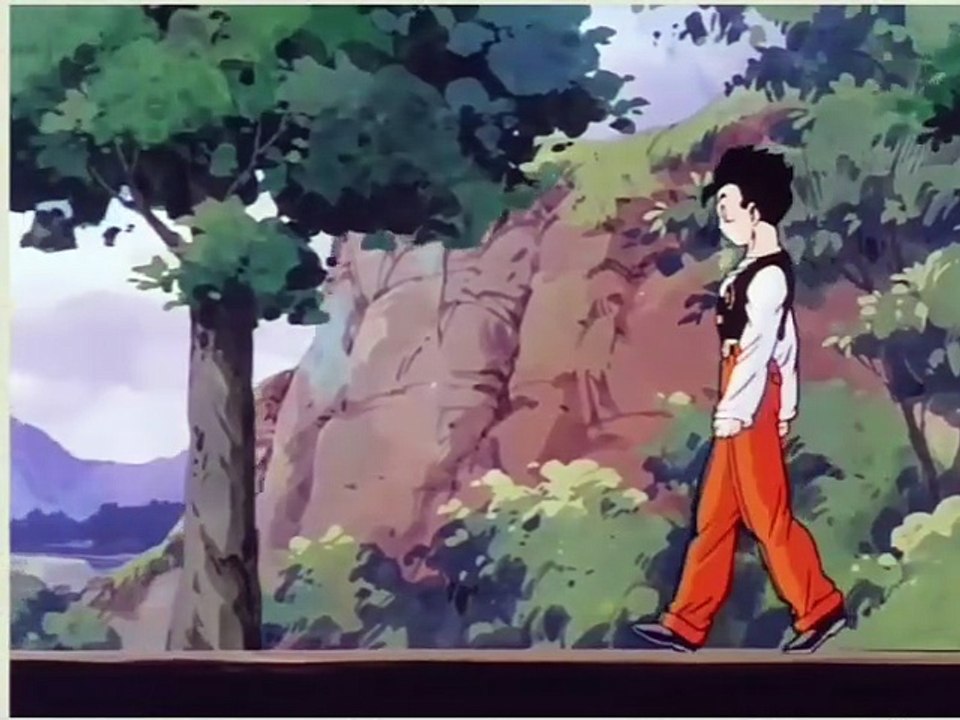 Encerramento DBZ