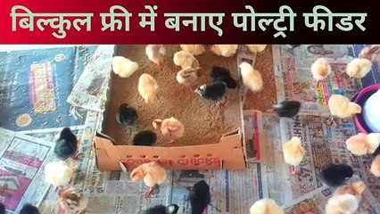 बिल्कुल फ्री में बनाएं पोल्ट्री फीडर | diy chicken feeder | chicken waterer