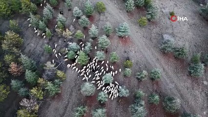 Gel de isyan etme! 1,2 milyon metrekarelik meraya imar planı iddiası ortalığı karıştırdı