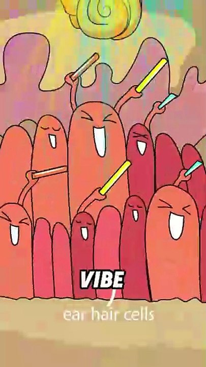 animation of human body organs part 6
