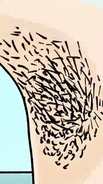 animation of human body organs part 8