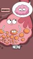 animation of human body organs part 8