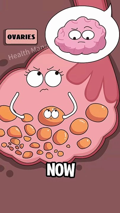 animation of human body organs part 8
