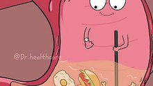 animation of human body organs part 10