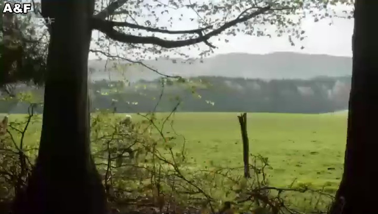 Zu schön um wahr zu sein