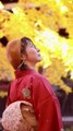 Promenade d’automne en kimono | Autumn Kimono Walk | 着物で歩く秋