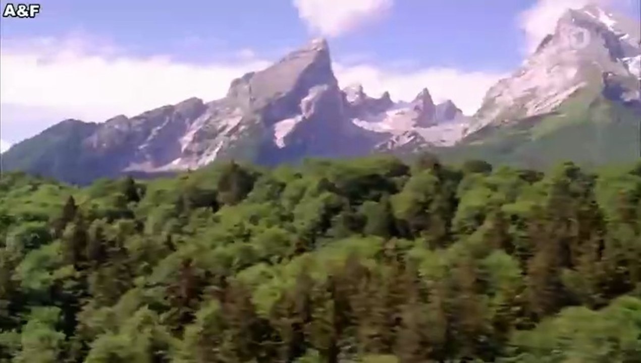 Zwei Herzen und ein Edelweiß