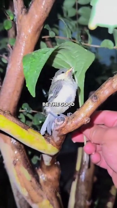 Be the good