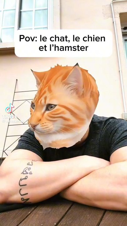 yo