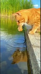 AQOpFUO-u_WpmT1Sl2grpaOG2eV9HjwhsiXcBrnXQrtsM4-mpAsSV8Pl5VuclmtfAWIdgpbIarmX64RtUJrmpGxa4xBxhDKQfcLHtxJkBRM-pQ