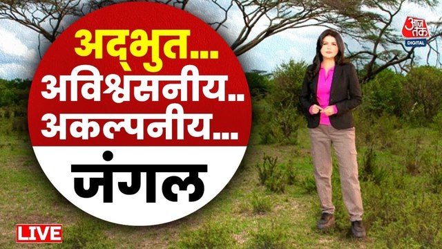 केन्या के मसाई मारा में जंगल की अनोखी दुनिया, देखें अद्भुत, अविश्वसनीय, अकल्पनीय