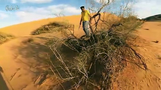 Lost in the Golden Desert of Liwa Abu Dhabi | Desert Life, Nature & Adventure Vlog