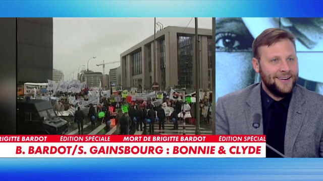 Alexandre Devecchio : «Brigitte Bardot adorait CNEWS»