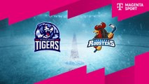 Highlights von Straubing Tigers - Iserlohn Roosters