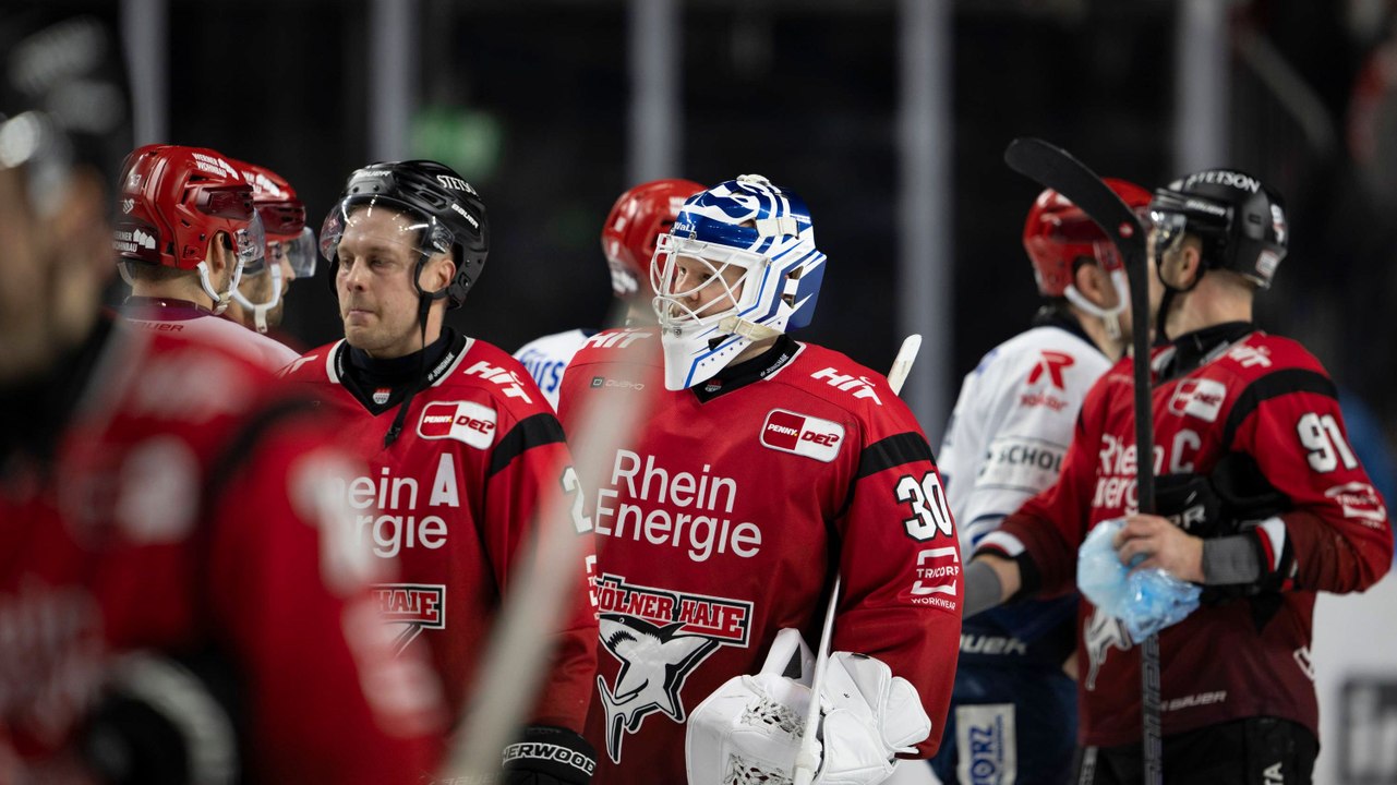 Wilder Ritt: Späte Aufholjagd der Wild Wings gegen die Haie kommt zu spät