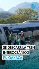 Se descarrila el Tren Interoceánico en Oaxaca; viajaban 250 personas