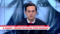 Jules Torres : «Brigitte Bardot n'a jamais rien cédé, c'était la liberté absolue»