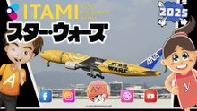 Osaka Itami Airport 伊丹空港 ✈️ ANA Star Wars Jet スターウォーズジェットです