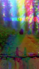 #shorts #youtubeshorts #ytshorts #viral #vuralvideo #trending #trendingshorts