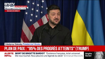 Plan de paix pour l'Ukraine: "Les discussions étaient formidables sur un grand nombre de sujets", déclare Volodymyr Zelensky