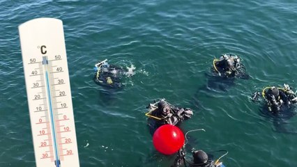 Así es como buzos colombianos se preparan para explorar las aguas gélidas de la Antártida
