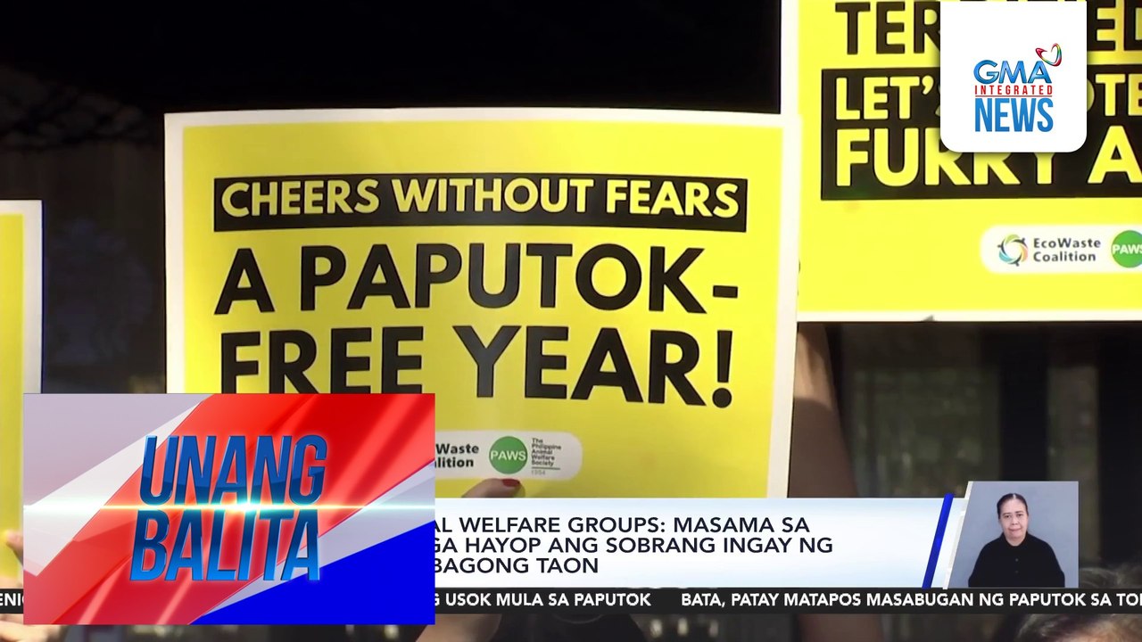 Paalala ng animal welfare groups - Masama sa kalusugan ng mga hayop ang sobrang ingay ng pagsalubong sa Bagong Taon | Unang Balita