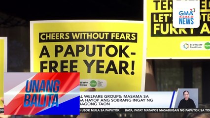 Paalala ng animal welfare groups - Masama sa kalusugan ng mga hayop ang sobrang ingay ng pagsalubong sa Bagong Taon | Unang Balita