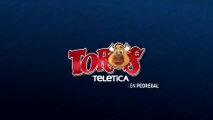 Toros en pedregal 28 diciembre 2025