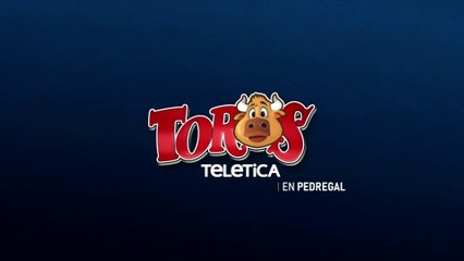 Toros en pedregal 28 diciembre 2025