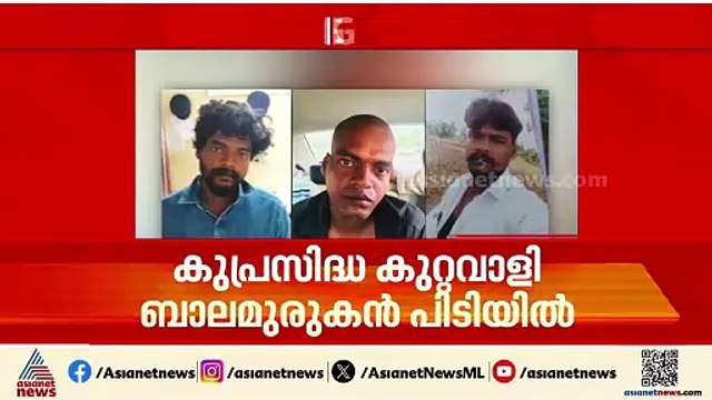 കുപ്രസിദ്ധ കുറ്റവാളി ബാലമുരുകൻ തമിഴ്നാട്ടിൽ പിടിയിൽ