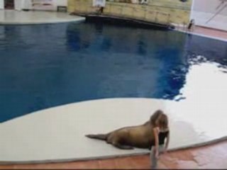 un phoque vrément pas comme les autres :)